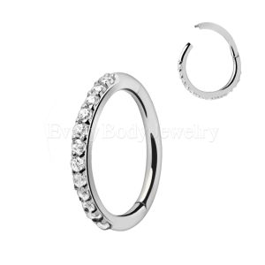 Product 316L Stainless Steel Multi-Jeweled Seamless Clicker Ring
