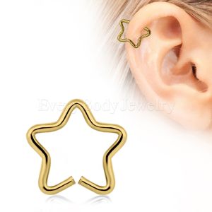 Product Gold Plated Star Shaped Cartilage Earring