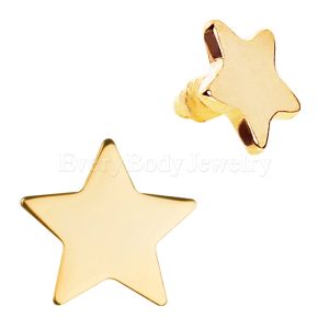 Product Gold Plated Star Dermal Top
