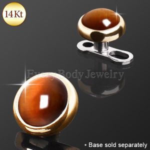 Product 14Kt Yellow Gold Round Dermal Top with Tiger Eye Stone
