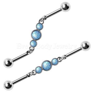 Product 316L Stainless Steel Blue Bubble Chain Industrial Barbell