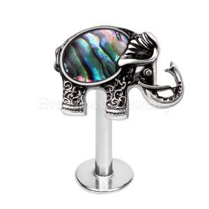 Product 316L Stainless Steel Abalone Shell Elephant Labret