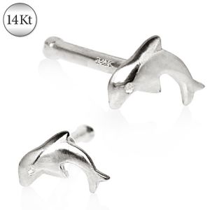 Product 14Kt White Gold Stud Nose Ring with a Dolphin